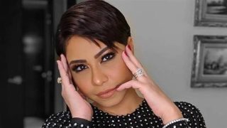 هل ينقلب السحر على الساحر؟.. سفيرة الإمارات تهاجم شيرين بعد تصريحاتها عن حبيب – جريدة الخبر اليوم