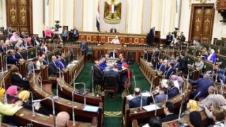 ما هى شروط وضوابط الاتجار فى التقاوى وفقا لقانون الزراعة؟ – جريدة الخبر اليوم