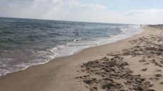 القانون يقضى بالإزالة الفورية حال إقامة منشآت مخالفة لحماية الشواطئ – جريدة الخبر اليوم