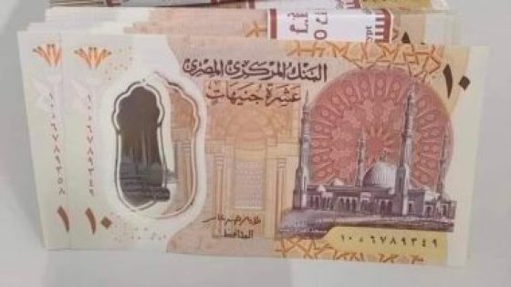 عضو بالتنسيقية: عملات “البوليمر” تحمى المواطنين من مخاطر انتقال الفيروسات – جريدة الخبر اليوم