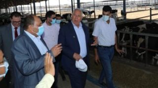 وزير الزراعة يتفقد مزرعة الإنتاج الحيوانى وتصنيع الألبان بالنوبارية – جريدة الخبر اليوم