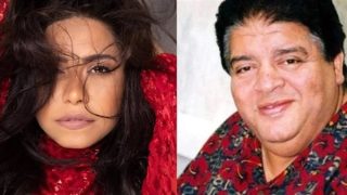 بعد تنمر شيرين عبدالوهاب عليه.. تعرف على ساحر الأوكرديون حسن أبو السعود – جريدة الخبر اليوم