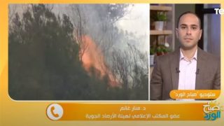 التغيرات المناخية المتهم الأول في حرائق الغابات ومصر تتأثر – جريدة الخبر اليوم