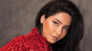 شيرين تتخذ الإجراءات القانونية ضد حسام حبيب: “واثقة في القضاء المصري” – جريدة الخبر اليوم