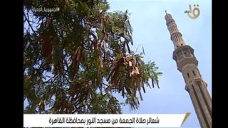 بث مباشر.. شعائر صلاة الجمعة من مسجد النور بالعباسية – جريدة الخبر اليوم