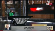 إضاءة شلالات «نياجرا» بعلم مصر احتفالًا بـ23 يوليو – جريدة الخبر اليوم