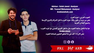 من هو المستشار والمحلل الفني داخل اسواق المال العالمية ومن هما ممثلين الحوت العربي داخل مصر