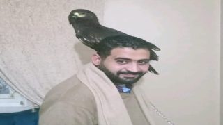 المهندس محمد حميد