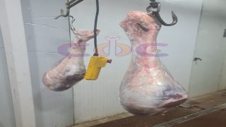 غير معني اللحوم في مصر Coc