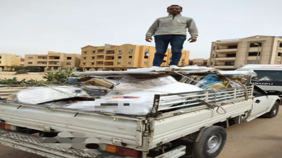 ابن مدينه بلبيس راضي عبد النبي يصدر اعمال الديكور لا امريكا ودول العالم