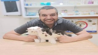 عصام الزيات: بطل القطط البيرشن ومنقذ الحيوانات المشردة في بلقاس