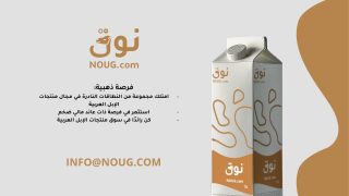 نوق .كوم NOUG يتقدم المنافسة في سوق النطاقات الفريدة