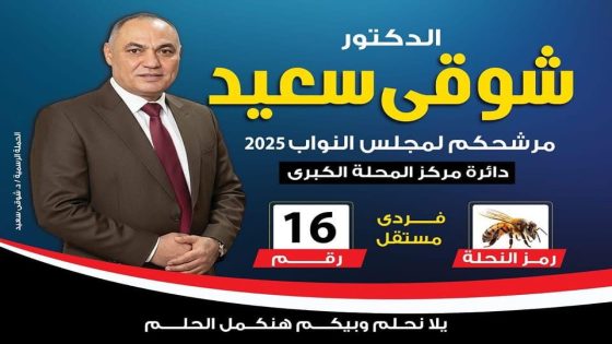 د. شوقي سعيد: افتتاح المتحف المصري الكبير برعاية السيسي حدث تاريخي يعكس ريادة مصر العالمية