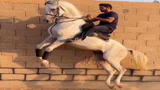 محمد العياف يثبت أن الصدق هو أبلغ محتوى